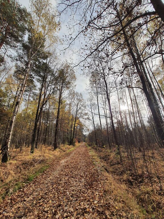 Przewodnik po najpiękniejszych szlakach turystycznych w Polsce na każdą porę roku